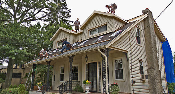 Best Storm Damage Roof Repair  in Apple Creek, OH