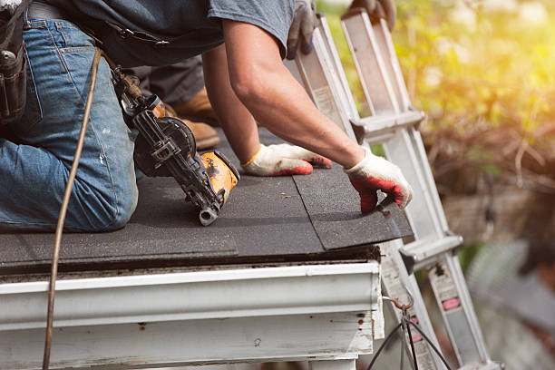 Gutter Installation and Roofing in Apple Creek, OH